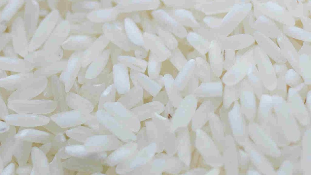 Riso (Pexels) IlFogliettone