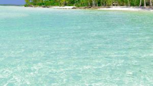 Caletta (Pexels) Ilfogliettone