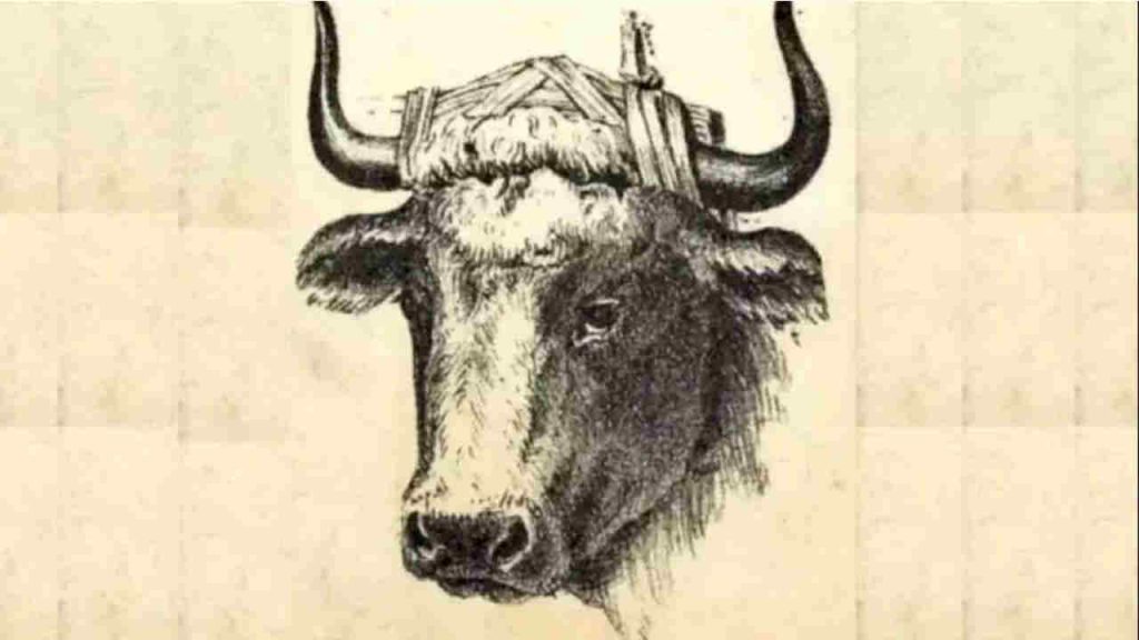 Illusione ottica (Theirishsun) Ilfogliettone