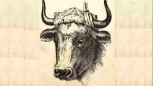 Illusione ottica (Theirishsun) Ilfogliettone