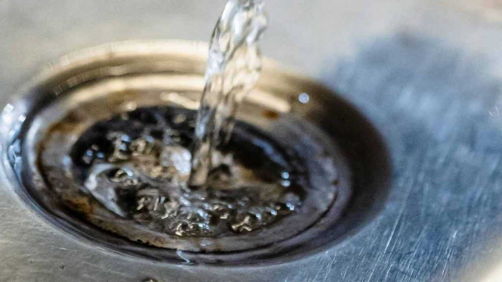 Lavandino (Pexels) Ilfogliettone