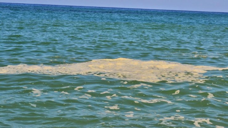 Mare inquinato - (pexels) - IlFogliettone.it