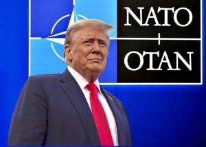 trumpnato