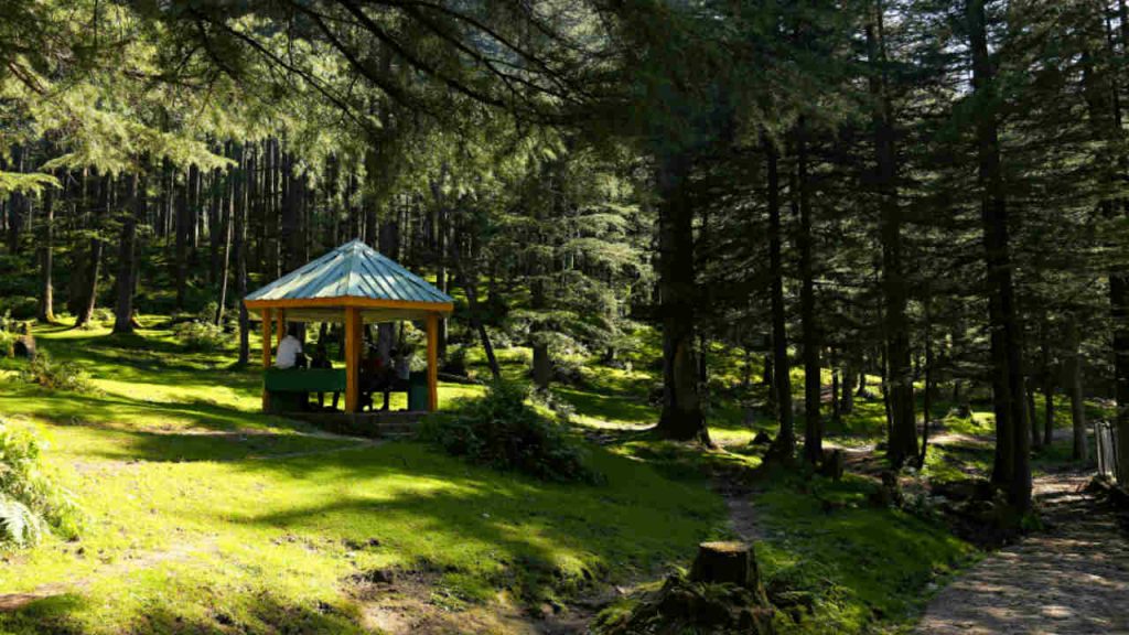 Gazebo (Pexels) Ilfogliettone