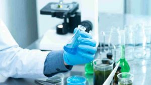 Malattia (Pexels Ilfogliettone