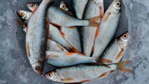 Pesce (pexels) - IlFogliettone.it