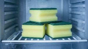 Spugne in freezer - (ispacnr) - IlFogliettone.it