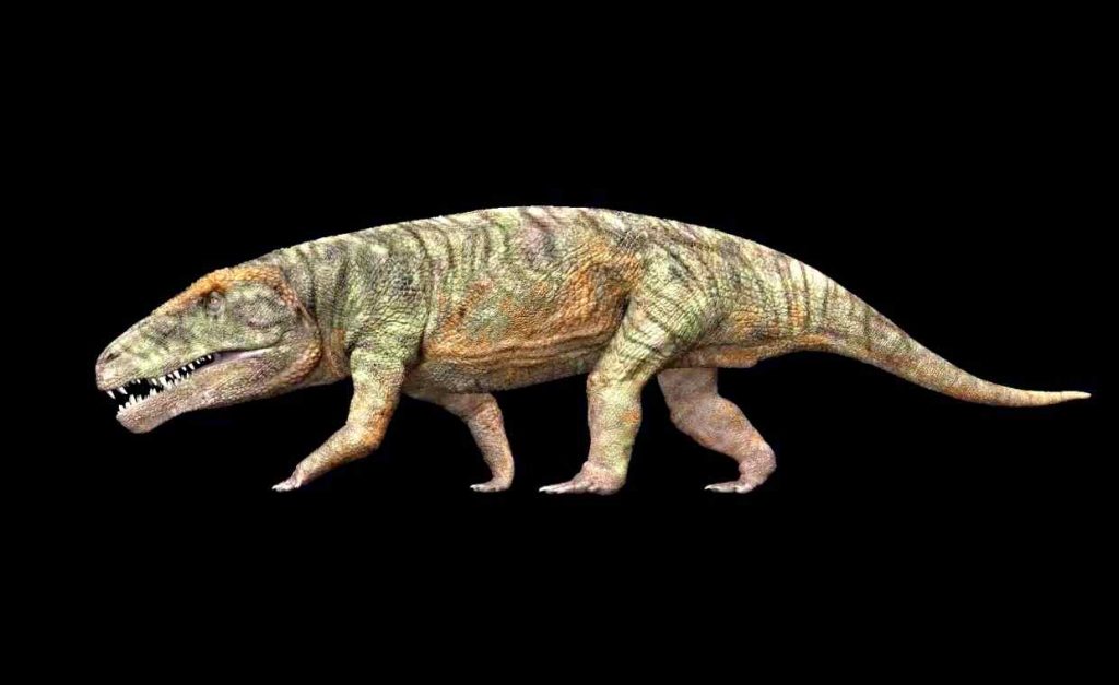 Kostensuchus atrox (1)