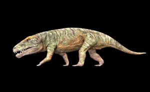 Kostensuchus atrox (1)