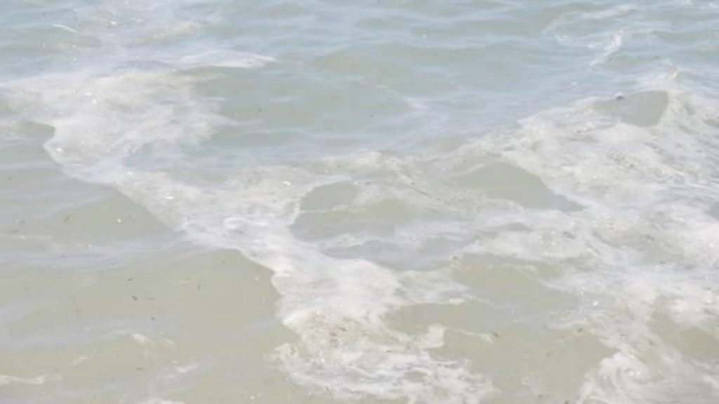 Mare inquinato (pexels) - IlFogliettone.it