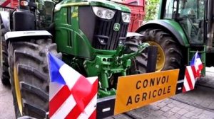 trattorisciopero_cleanup