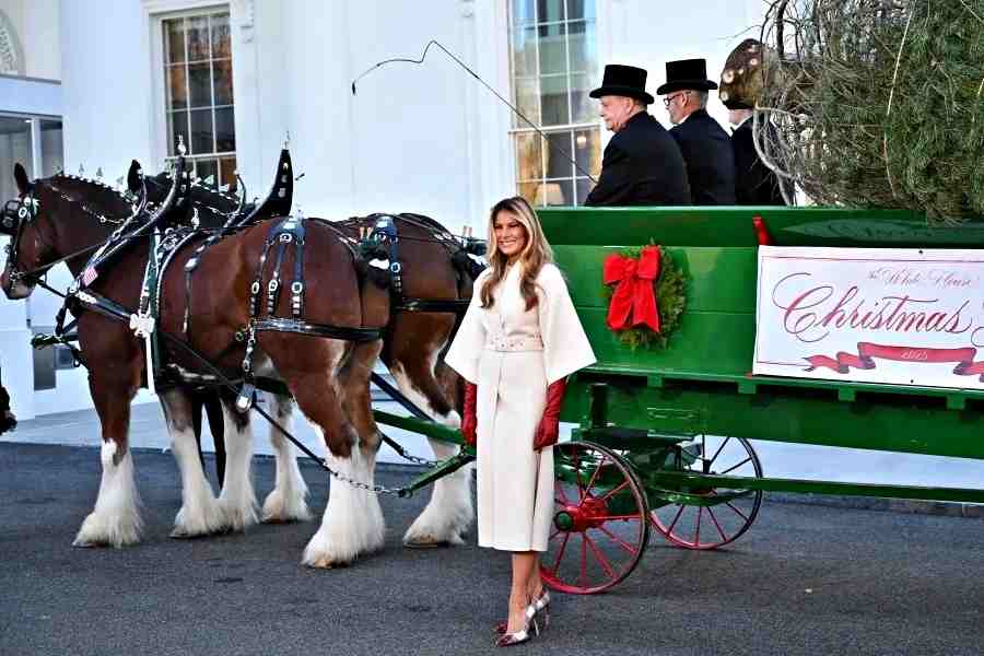 Un abete di 7,6 metri dal Michigan arriva alla Casa Bianca: Melania Trump inaugura il Natale presidenziale Un abete di 7,6 metri dal Michigan arriva alla Casa Bianca: Melania Trump inaugura il Natale presidenziale