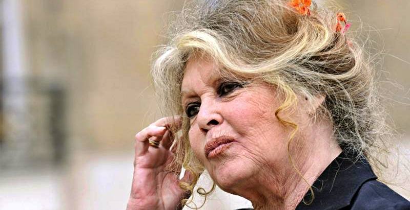 Brigitte Bardot (1)