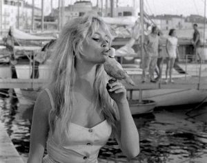 brigitte-bardot