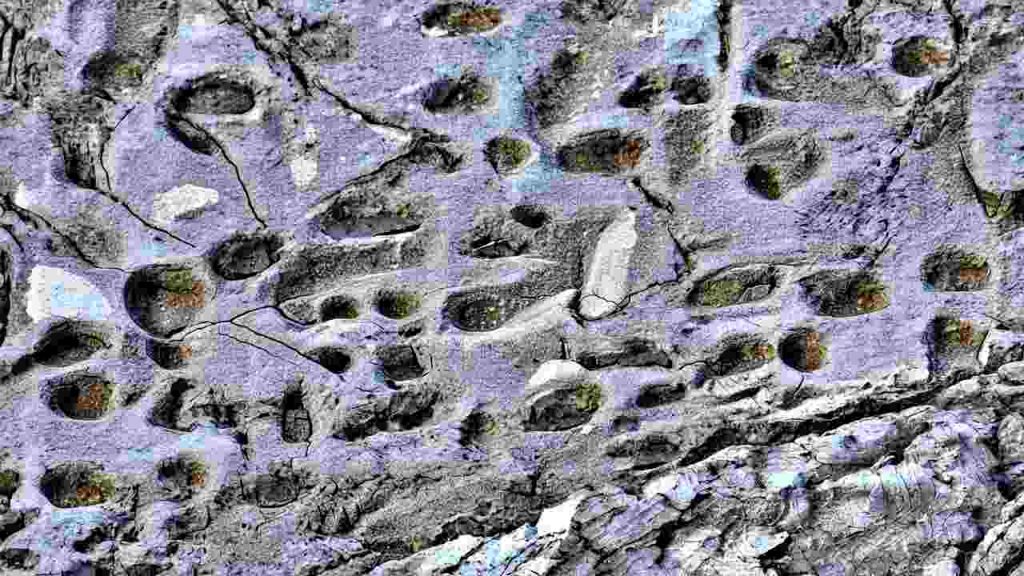 orme-dinosauri-stelvio (1)