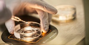 inseminazioneartificialelaboratorioricerca