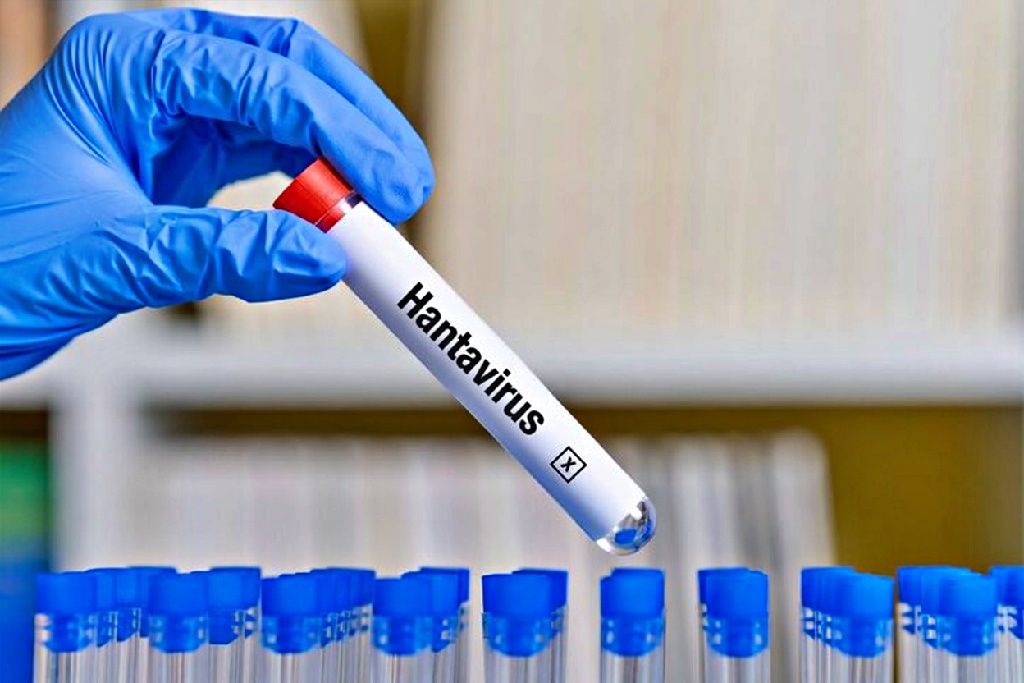 Hantavirusok