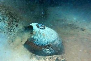 fondaliarcheologia2