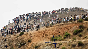 migranti