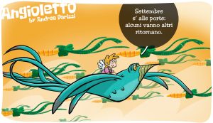 vignetta (1)